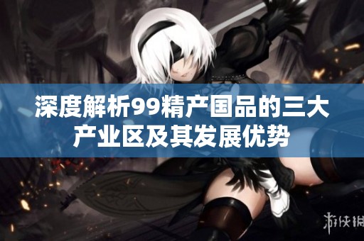 深度解析99精产国品的三大产业区及其发展优势
