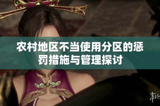 农村地区不当使用分区的惩罚措施与管理探讨
