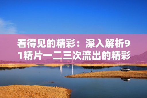 看得见的精彩：深入解析91精片一二三次流出的精彩瞬间