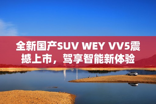全新国产SUV WEY VV5震撼上市，驾享智能新体验