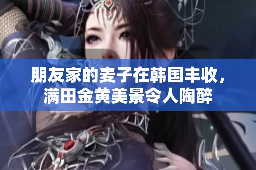 朋友家的麦子在韩国丰收，满田金黄美景令人陶醉