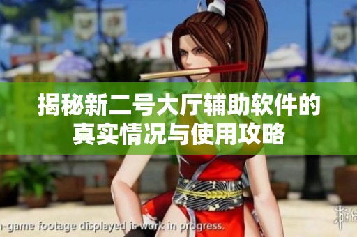 揭秘新二号大厅辅助软件的真实情况与使用攻略