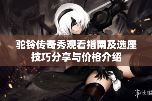 驼铃传奇秀观看指南及选座技巧分享与价格介绍