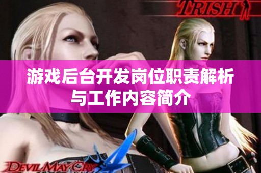 游戏后台开发岗位职责解析与工作内容简介
