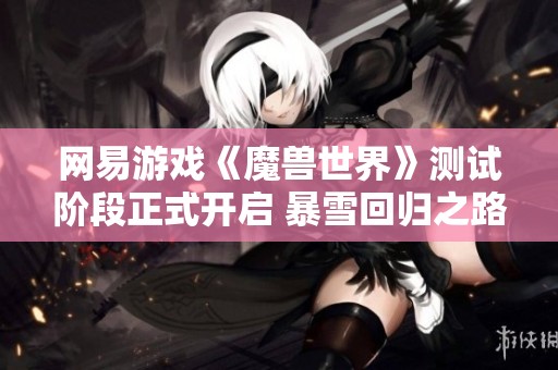 网易游戏《魔兽世界》测试阶段正式开启 暴雪回归之路充满挑战