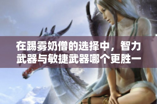 在踢雾奶僧的选择中，智力武器与敏捷武器哪个更胜一筹