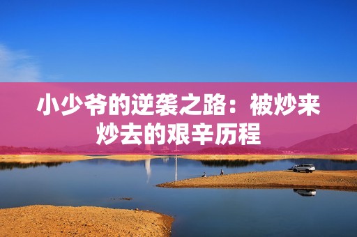 小少爷的逆袭之路：被炒来炒去的艰辛历程