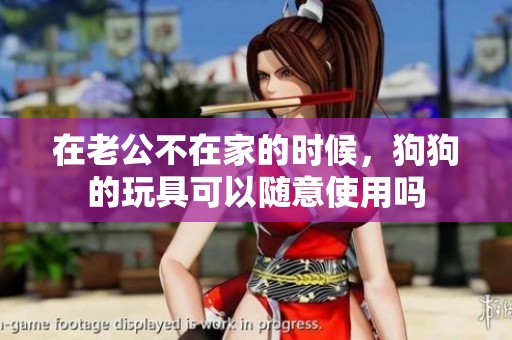 在老公不在家的时候，狗狗的玩具可以随意使用吗