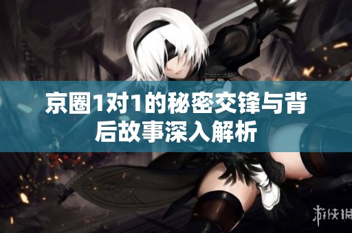 京圈1对1的秘密交锋与背后故事深入解析