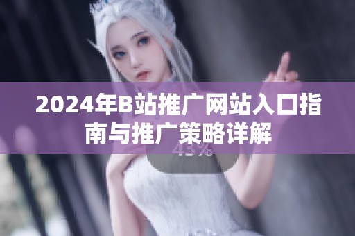 2024年B站推广网站入口指南与推广策略详解