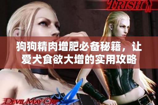 狗狗精肉增肥必备秘籍，让爱犬食欲大增的实用攻略