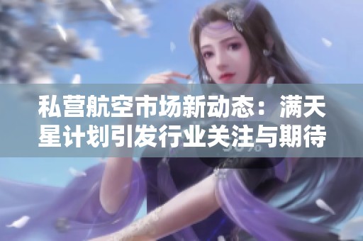 私营航空市场新动态：满天星计划引发行业关注与期待