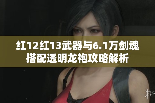 红12红13武器与6.1万剑魂搭配透明龙袍攻略解析