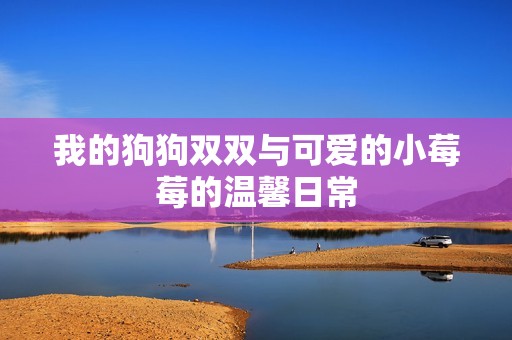 我的狗狗双双与可爱的小莓莓的温馨日常