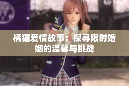 橘猫爱情故事：探寻限时婚姻的温馨与挑战