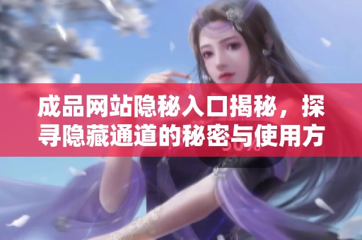 成品网站隐秘入口揭秘，探寻隐藏通道的秘密与使用方法