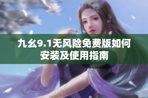 九幺9.1无风险免费版如何安装及使用指南