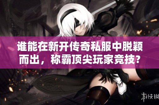 谁能在新开传奇私服中脱颖而出，称霸顶尖玩家竞技？
