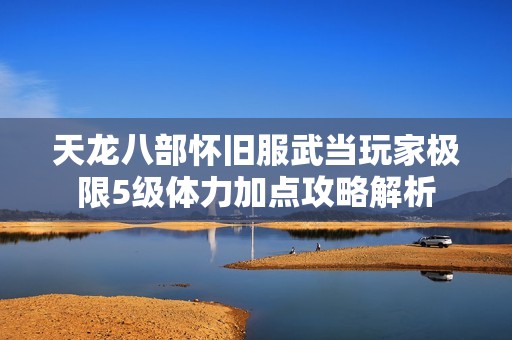 天龙八部怀旧服武当玩家极限5级体力加点攻略解析