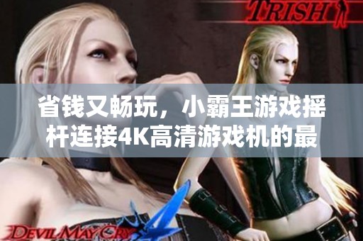 省钱又畅玩，小霸王游戏摇杆连接4K高清游戏机的最佳选择