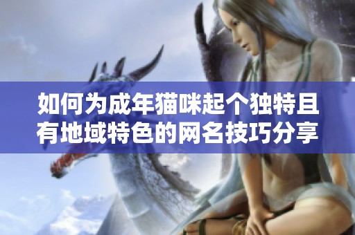 如何为成年猫咪起个独特且有地域特色的网名技巧分享