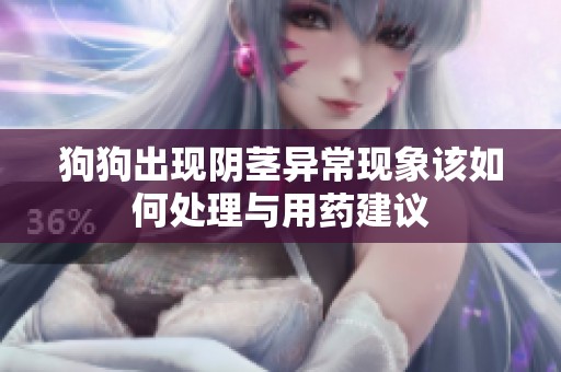 狗狗出现阴茎异常现象该如何处理与用药建议