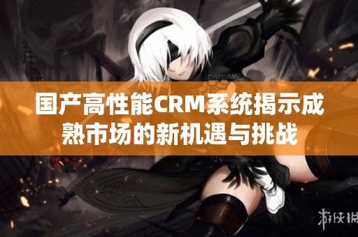 国产高性能CRM系统揭示成熟市场的新机遇与挑战