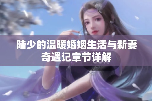 陆少的温暖婚姻生活与新妻奇遇记章节详解