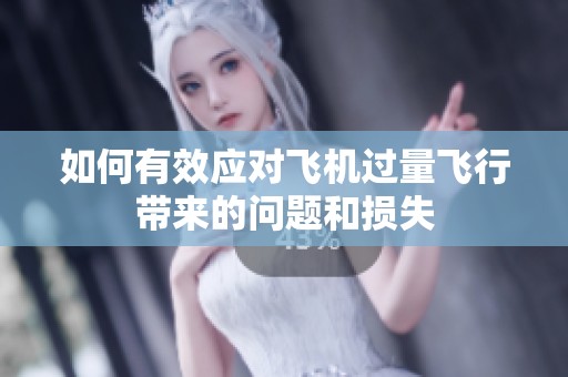 如何有效应对飞机过量飞行带来的问题和损失