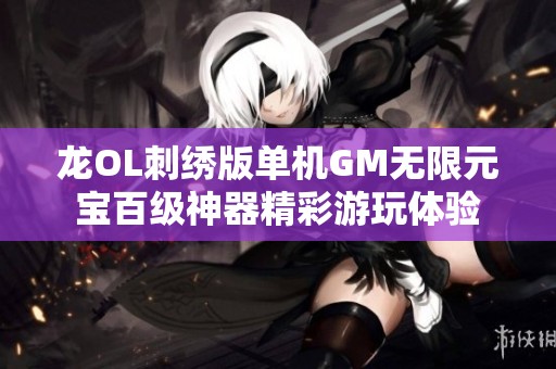 龙OL刺绣版单机GM无限元宝百级神器精彩游玩体验