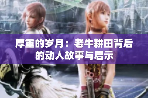 厚重的岁月：老牛耕田背后的动人故事与启示