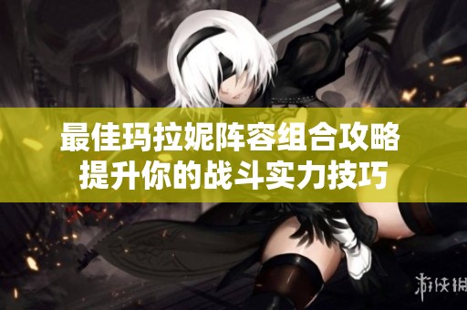 最佳玛拉妮阵容组合攻略 提升你的战斗实力技巧