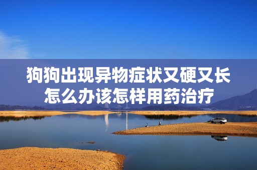 狗狗出现异物症状又硬又长怎么办该怎样用药治疗