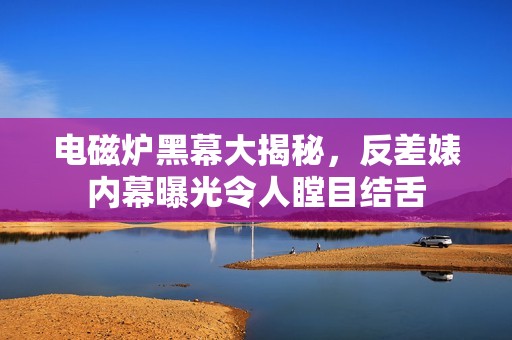 电磁炉黑幕大揭秘，反差婊内幕曝光令人瞠目结舌