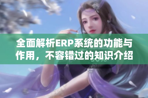 全面解析ERP系统的功能与作用，不容错过的知识介绍