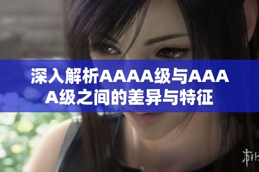 深入解析AAAA级与AAAA级之间的差异与特征