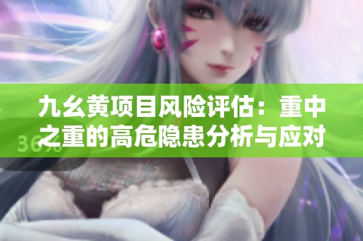 九幺黄项目风险评估：重中之重的高危隐患分析与应对策略