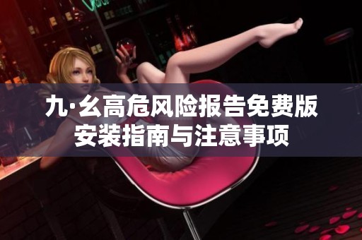 九·幺高危风险报告免费版安装指南与注意事项