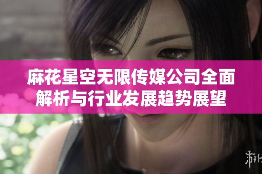 麻花星空无限传媒公司全面解析与行业发展趋势展望