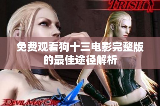 免费观看狗十三电影完整版的最佳途径解析
