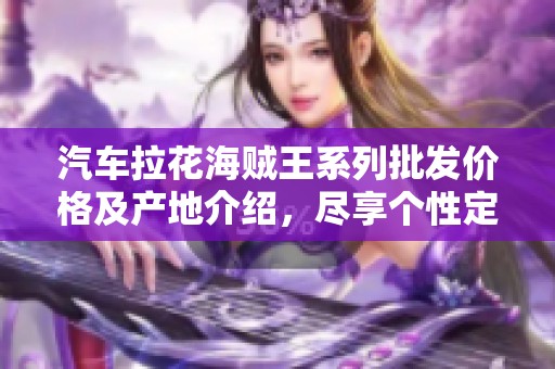 汽车拉花海贼王系列批发价格及产地介绍，尽享个性定制体验