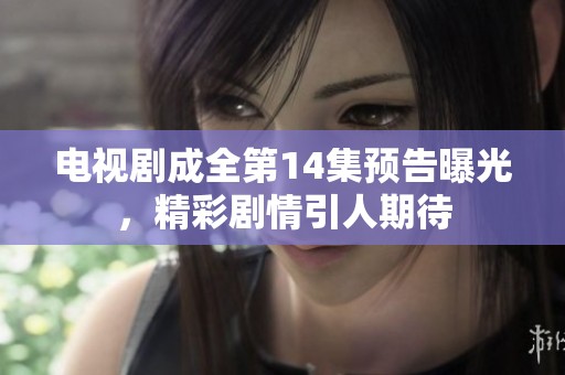 电视剧成全第14集预告曝光，精彩剧情引人期待