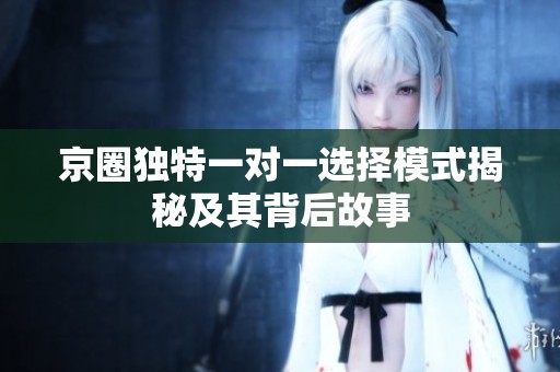 京圈独特一对一选择模式揭秘及其背后故事