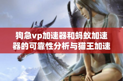 狗急vp加速器和蚂蚁加速器的可靠性分析与猫王加速器对比评测