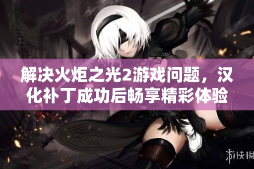 解决火炬之光2游戏问题，汉化补丁成功后畅享精彩体验