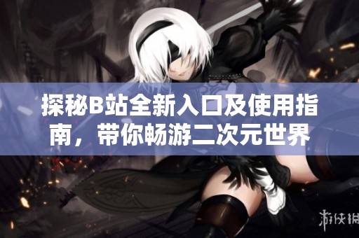 探秘B站全新入口及使用指南，带你畅游二次元世界