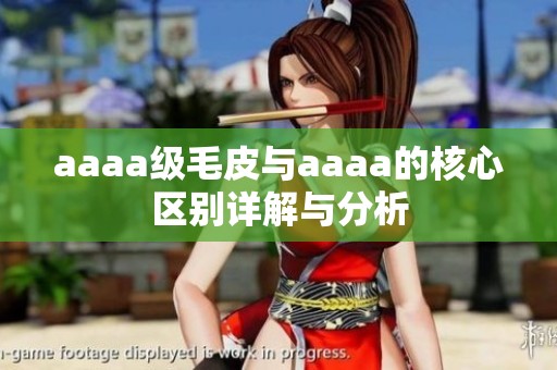 aaaa级毛皮与aaaa的核心区别详解与分析