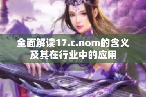全面解读17.c.nom的含义及其在行业中的应用